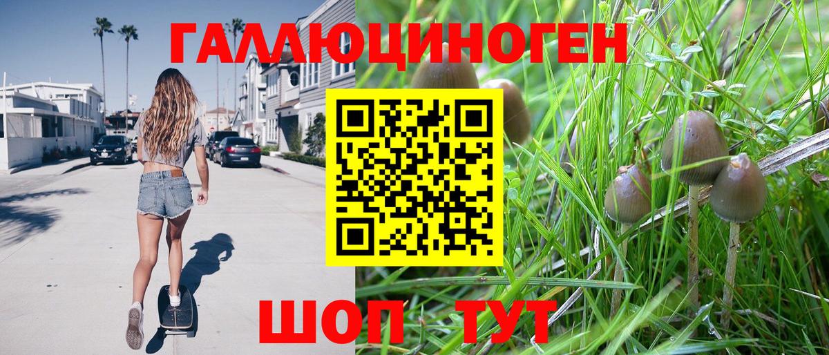 Псилоцибиновые грибы MAGIC MUSHROOMS  Вход с VPN  Муравленко 