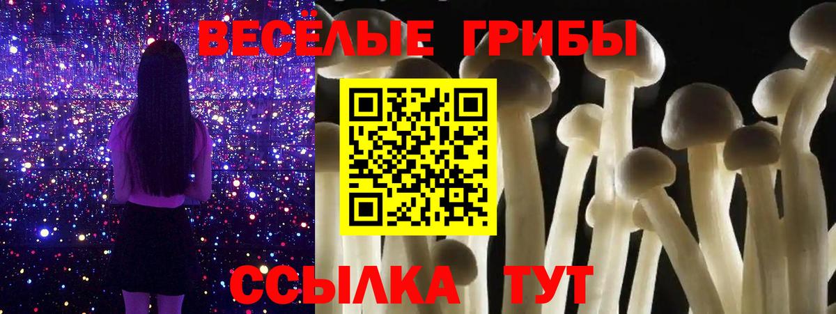 Галлюциногенные грибы Cubensis Муравленко